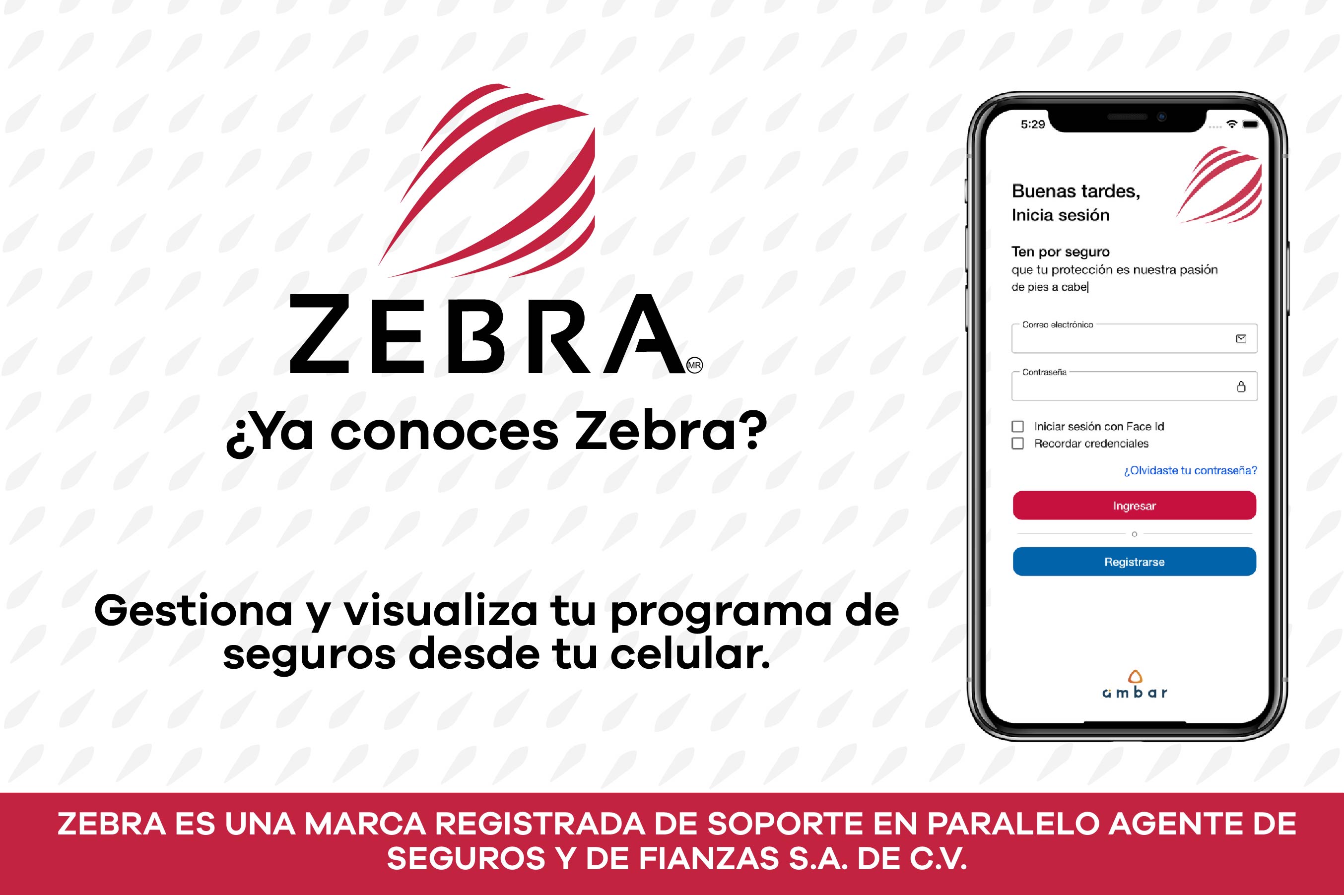 Zebra by Ambar Seguros